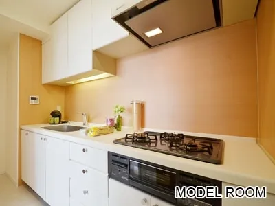 IS Heights - Interior - ["Countertop", "Cabinetry", "Property"]