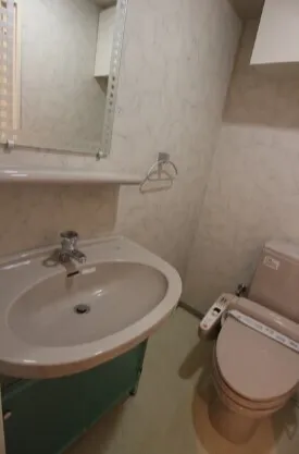 Gala City Osaki - Interior - ["Bathroom", "Bathroom Sink", "Plumbing fixture"]