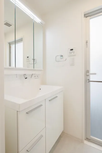 In Style Residence Honkomagome - Interior - ["Mirror", "Bathroom cabinet", "Sink"]
