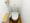 Louvre Nogata 3rd Building - Interior - ["Toilet seat", "Toilet", "Plumbing fixture"] thumbnail