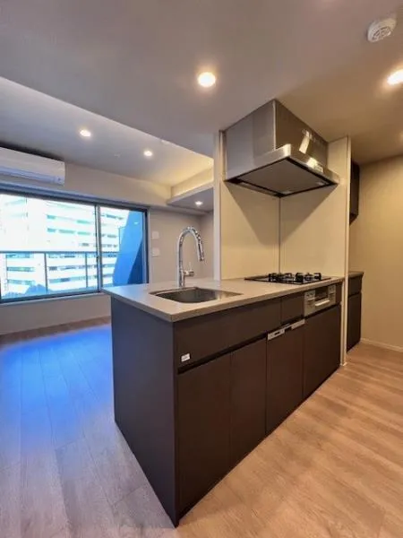 Brillia Ist Oimachi - Interior - ["Kitchen", "Countertop", "Flooring"]