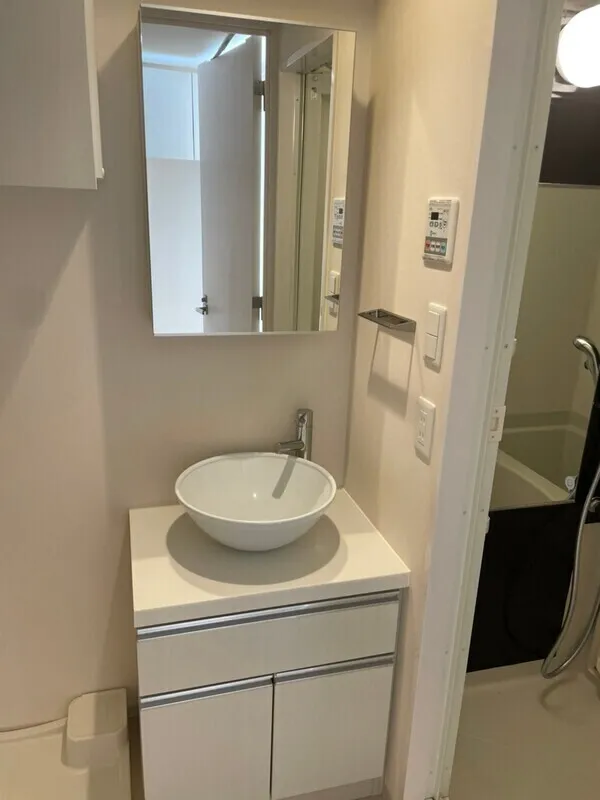 Premium Cube G Nishioi - Interior - ["Bathroom Sink", "Sink", "Plumbing fixture"]