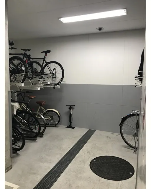 Gridie - Other - ["Bicycle", "Bicycle wheel", "Bicycle tire"]