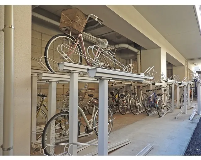 Dicuore Sengawa - Other - ["Bicycle", "Bicycle frame", "Bicycle wheel"]