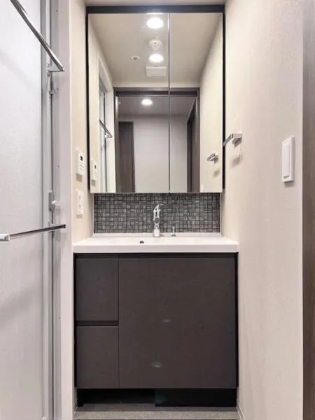 Brillia Ist Oimachi - Interior - ["Flooring", "Bathroom cabinet", "Interior design"]