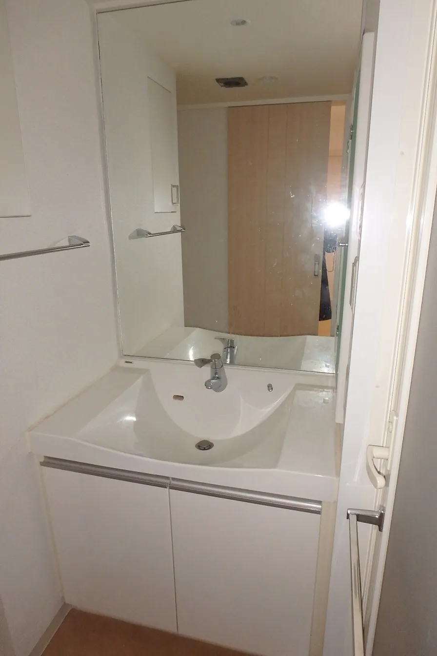 Esty Maison Kinshicho II - Interior - ["Mirror", "Sink", "Tap"]