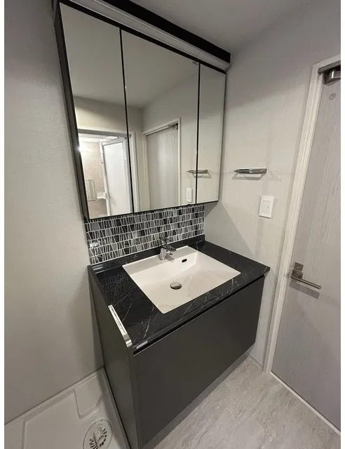 Takanawa Heights - Interior - ["Bathroom Sink", "Plumbing fixture", "Sink"]