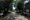 Castalia Togoshi Station Square - Other - ["Tree", "Grass", "Plants"] thumbnail