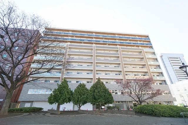 Stellar Terrace - Exterior - ["Apartment", "Condominium", "High-rise building"]