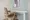 THE PARK CROSS ICHIGAYA HARAIKATAMACHI - Interior - [] thumbnail