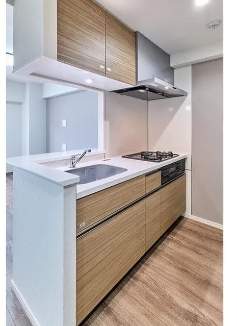 Gran Casa Hikifune II - Interior - ["Flooring", "Kitchen", "Countertop"]