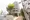 Keyaki Terrace Ebisu Minami - Exterior - ["Houseplant", "Flowerpot"] thumbnail