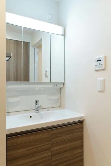 Rumireis Toyosu - Interior - ["Mirror", "Bathroom cabinet", "Tap"]