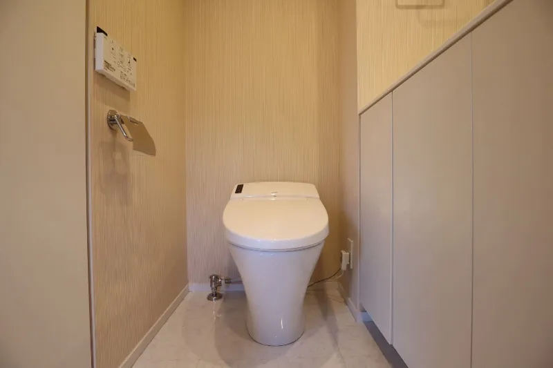 Castalia Togoshi - Interior - ["Toilet seat", "Toilet", "Plumbing fixture"]