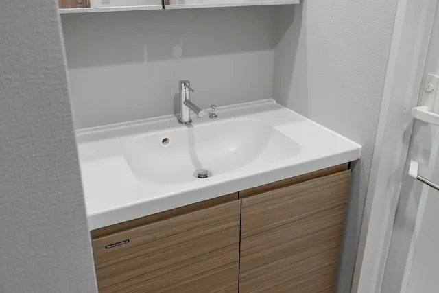 Cosmogracia Shinjuku Nishi-Waseda - Interior - ["Bathroom Sink", "Flooring", "Sink"]
