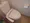 JAPT Ikejiri - Interior - ["Toilet", "Toilet seat", "Plumbing fixture"] thumbnail
