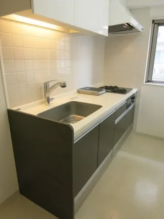 Clio Tokoshi Ginza 2nd Building - Interior - ["Kitchen sink", "Tap", "Sink"]