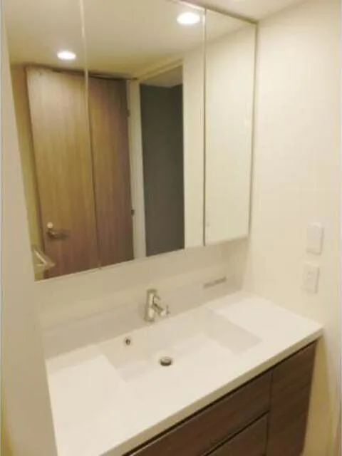 Park Axis Toyosu Canal - Interior - ["Bathroom Sink", "Flooring", "Floor"]