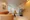 Hmlet Bunkyo Korakuen - Interior - ["Interior design", "Flooring", "Furniture"] thumbnail