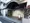 Green Capital Chitose Funabashi - Exterior - ["Door", "Hotel", "Home Door"] thumbnail