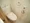 KDX Residence Takanawa - Interior - ["Toilet", "Bathroom", "Toilet seat"] thumbnail