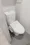 Asyl Court Honancho Terrace - Interior - ["Toilet seat", "Toilet", "Bathroom"] thumbnail