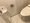 Residia Nakaochiai - Interior - ["Toilet seat", "Plumbing fixture", "Toilet"] thumbnail