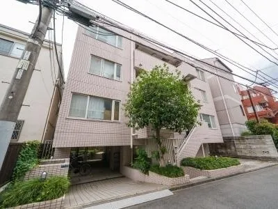 Nakazawa Court - Exterior - ["Houseplant", "Amaryllidaceae", "Lilies"]