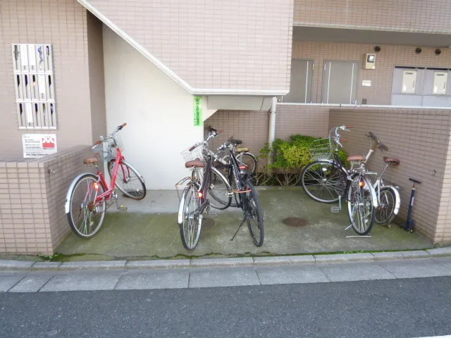 Life Pal - Exterior - ["Bicycle", "Wheel", "Tire"]