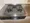 Prime Urban Tokyo Skytree - Interior - ["Kitchen stove", "Major appliance", "Stove"] thumbnail