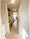 Crevista Oimachi - Interior - ["Flooring", "Wood", "Floor"] thumbnail