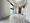 Cross Residence Rikugien - Interior - ["Property", "Fixture", "Window"] thumbnail