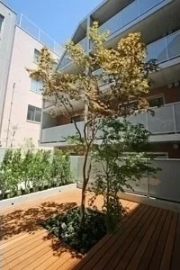 Maple Garden Nakano Fujimicho - Exterior - ["Plant", "Building", "Wood"]
