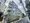 N-Flats Higashi-Mukojima - Exterior - ["Borages"] thumbnail