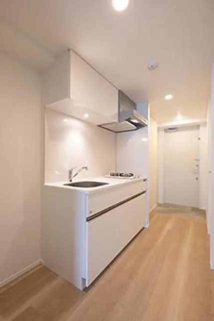 Oase Shinagawa Residence - Interior - ["Cabinetry", "Countertop", "Tap"]