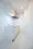 The Residence Nihonbashi - Interior - ["Flooring", "Floor", "Apartment"] thumbnail