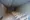 Comforia Higashioi I - Other - ["Flooring", "Floor", "Ceiling"] thumbnail