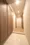 Oase Ikegami Terrace - Interior - ["Flooring", "Floor", "Wood"] thumbnail