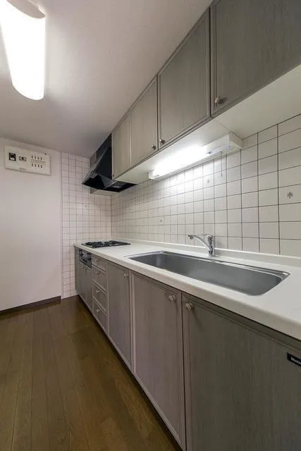 Astelion Shoto - Interior - ["Kitchen", "Kitchen Sink", "Flooring"]
