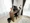 Mynavi STAY Shibuya Higashi Maison - Other - [] thumbnail
