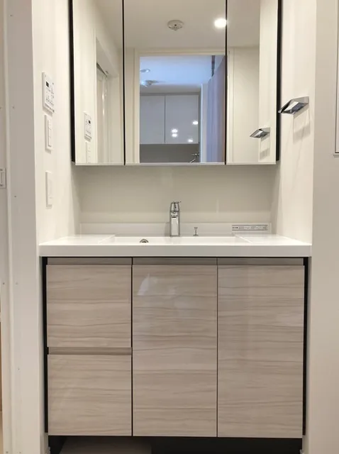 Park Axis Monzennakacho Terrace - Interior - ["Mirror", "Tap", "Cabinetry"]