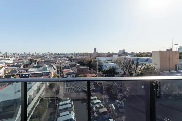 Terra Silk Forest - Interior - ["Daytime", "Urban area", "Horizon"]