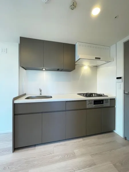 Brillia Ist Asakusa - Interior - ["Kitchen", "Countertop", "Kitchen Appliance"]