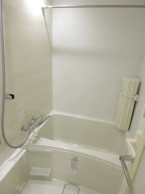 Milia Residence Asakusabashi III - Interior - ["Ceiling", "Silver", "Plumbing"]