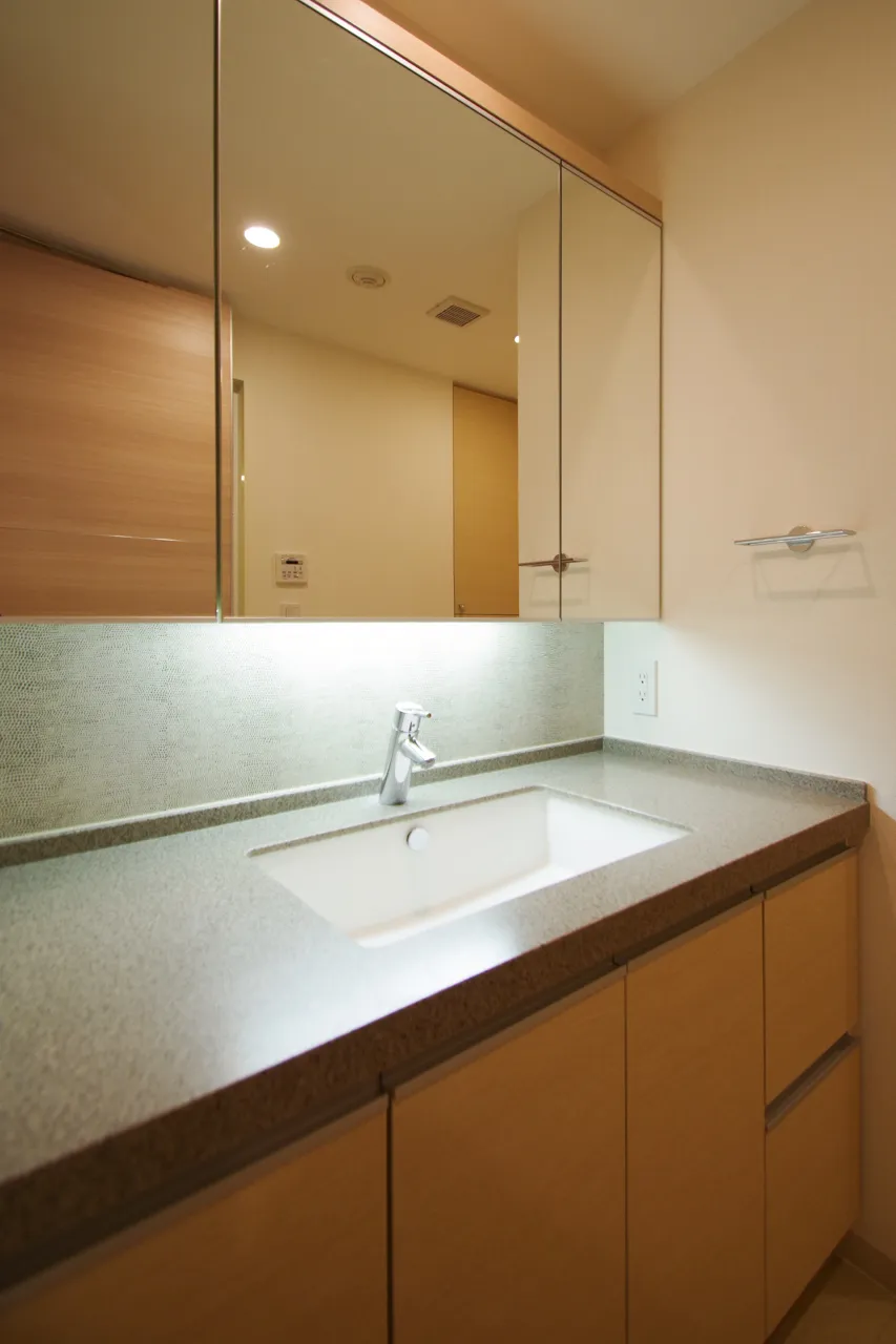 Central Park Tower La Tour Shinjuku - Interior - ["Brown", "Cabinetry", "Sink"]