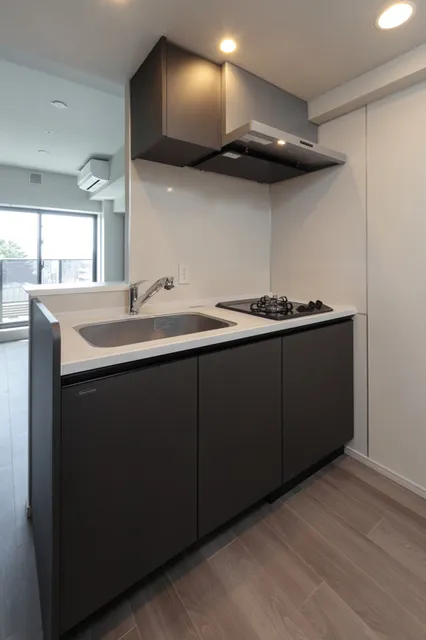 Terra Silk Forest - Interior - ["Kitchen", "Countertop", "Floor"]