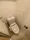 City Index Nishi-Gotanda - Interior - ["Toilet seat", "Toilet", "Plumbing fixture"] thumbnail