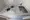 Live Casa Monzen-Nakacho - Interior - ["Kitchen Sink", "Sink", "Kitchen"] thumbnail