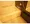 Park Axis Kikugawa Station Gate - Interior - ["Flooring", "Bathtub", "Floor"] thumbnail
