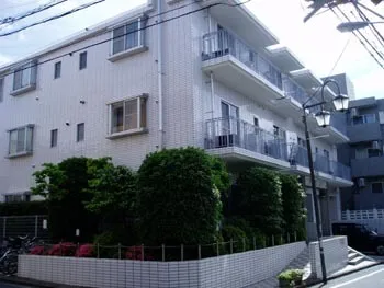 Flats Jun - Exterior - ["Plant", "Building", "Property"]